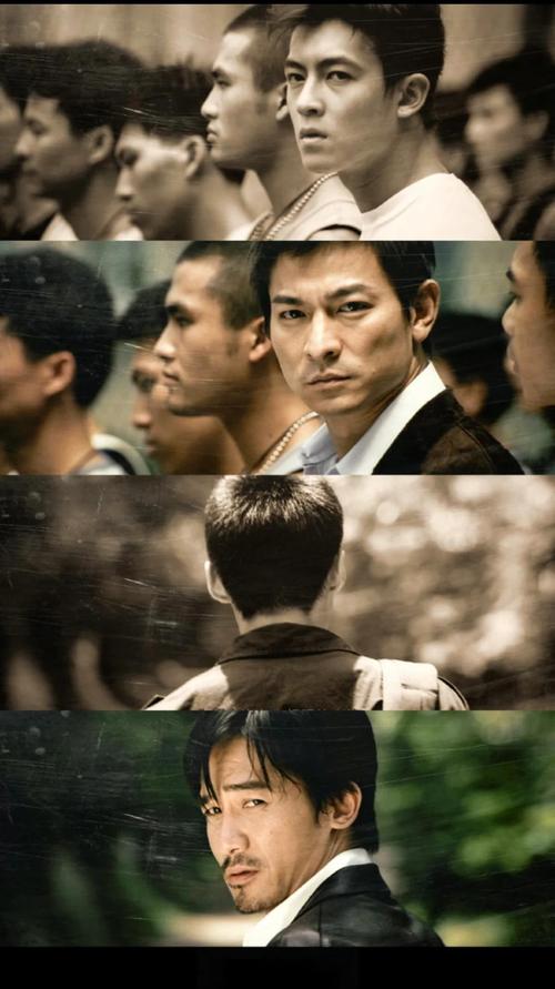 无间道正序版免费全集高清在线观看，众星云集超精彩