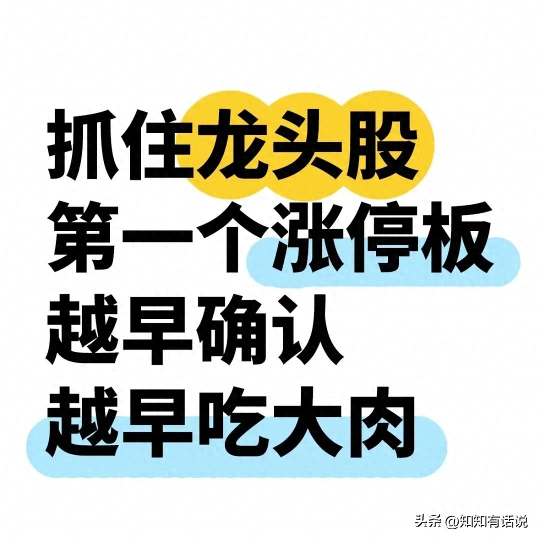抓龙头股第一个涨停板_龙头股涨停实战技巧_股票涨停前资金我有什么变化