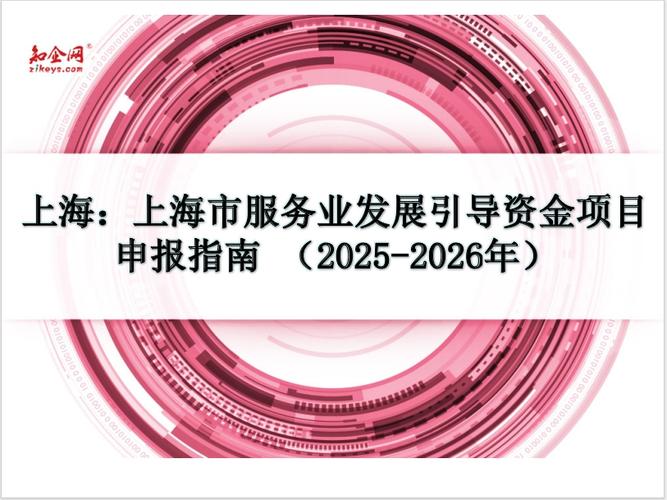 上海企业必看：2025服务业引导资金申报指南和重点领域解析