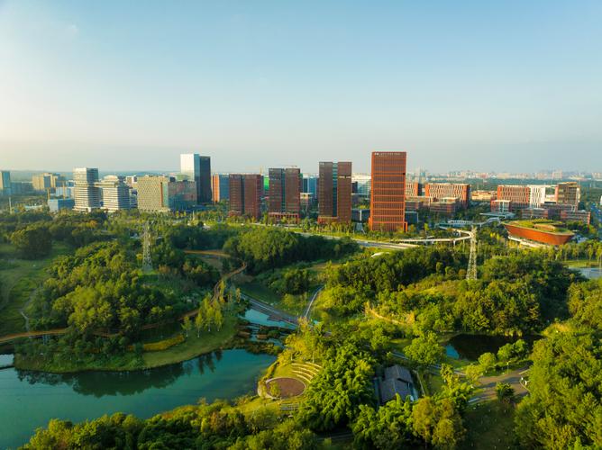 想在成都高新区加入医学学会？先了解官网上的这些前沿动态