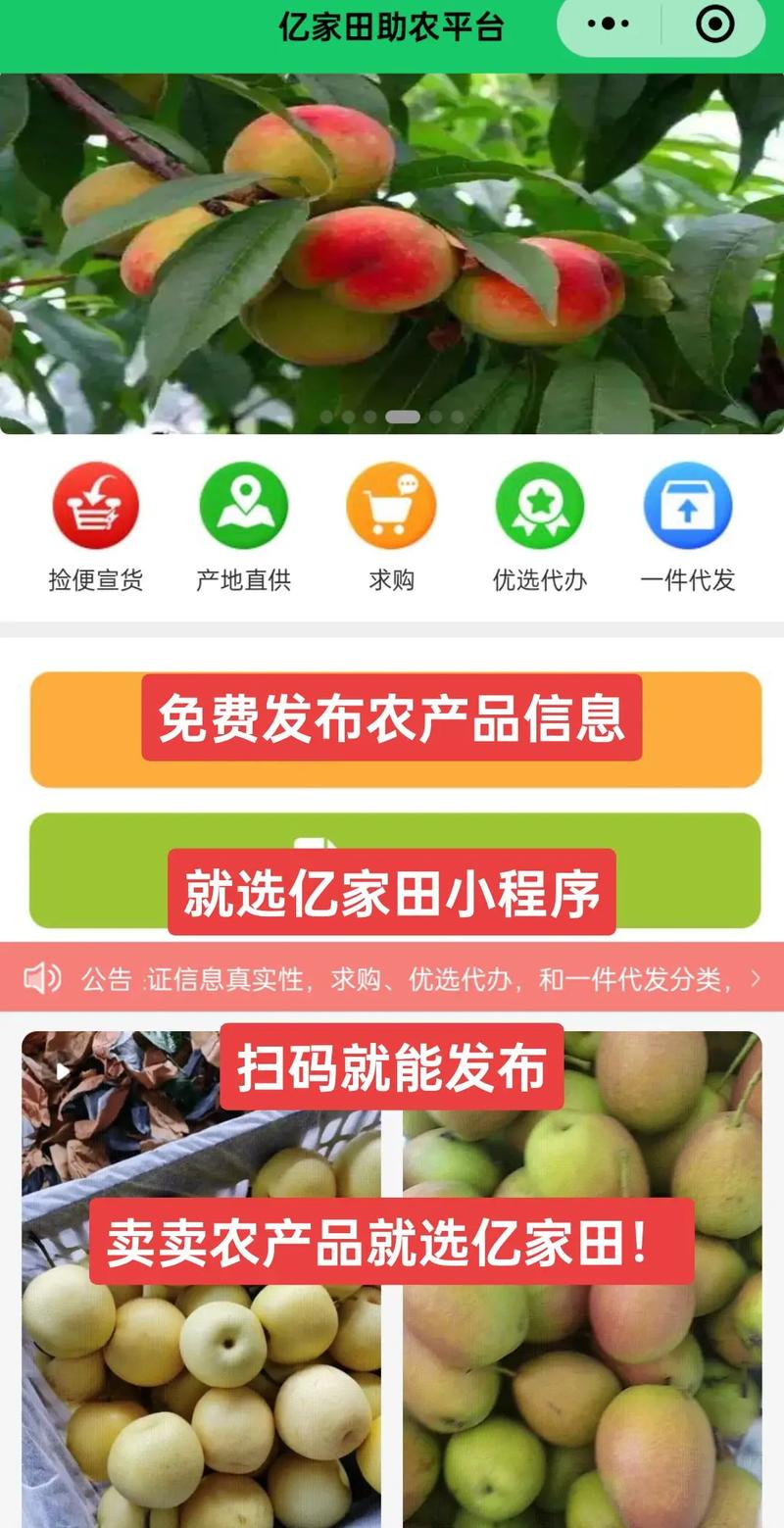 可靠的农产品交易平台_实时农产品市场行情更新_一亩田农产品批发交易平台