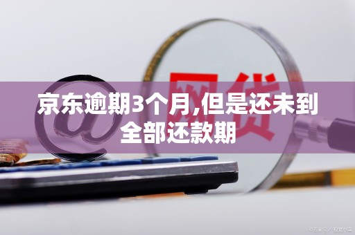 京东逾期3个月怎么办？我的亲身经历分享：应对心得与解决方案