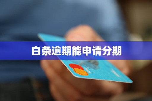 白条逾期能申请分期