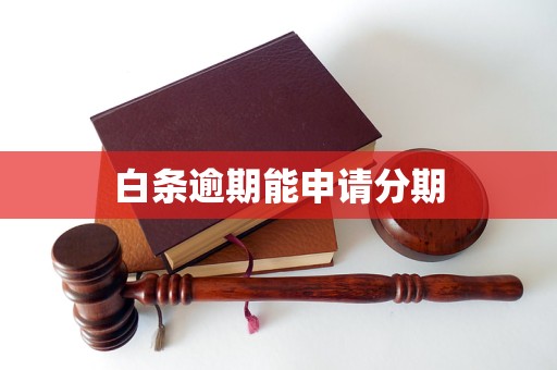 白条逾期能申请分期