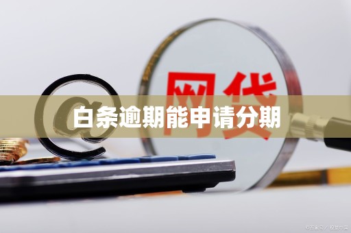 白条逾期能申请分期