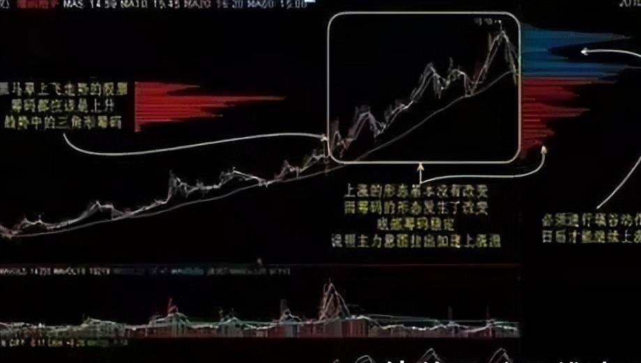 筹码分布分析技巧_怎么看股票主力和散户的比例_股票交易心态稳定