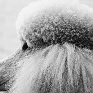 捷信贷3万要还多少钱_民间借贷利息计算方法_高利贷利息超过多少无效