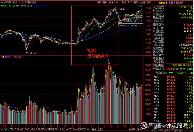 2026年1月29日泰瑞机器股市资金流向及股价情况分析