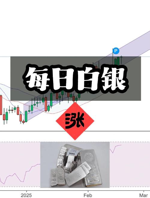 黄金白银价格下跌_白银期货跌了1点是多少_大宗商品指数年度再平衡