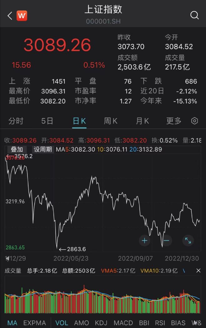 主动权益基金年度冠军分析_公募基金2022年业绩排名_股票行基金今年最好的