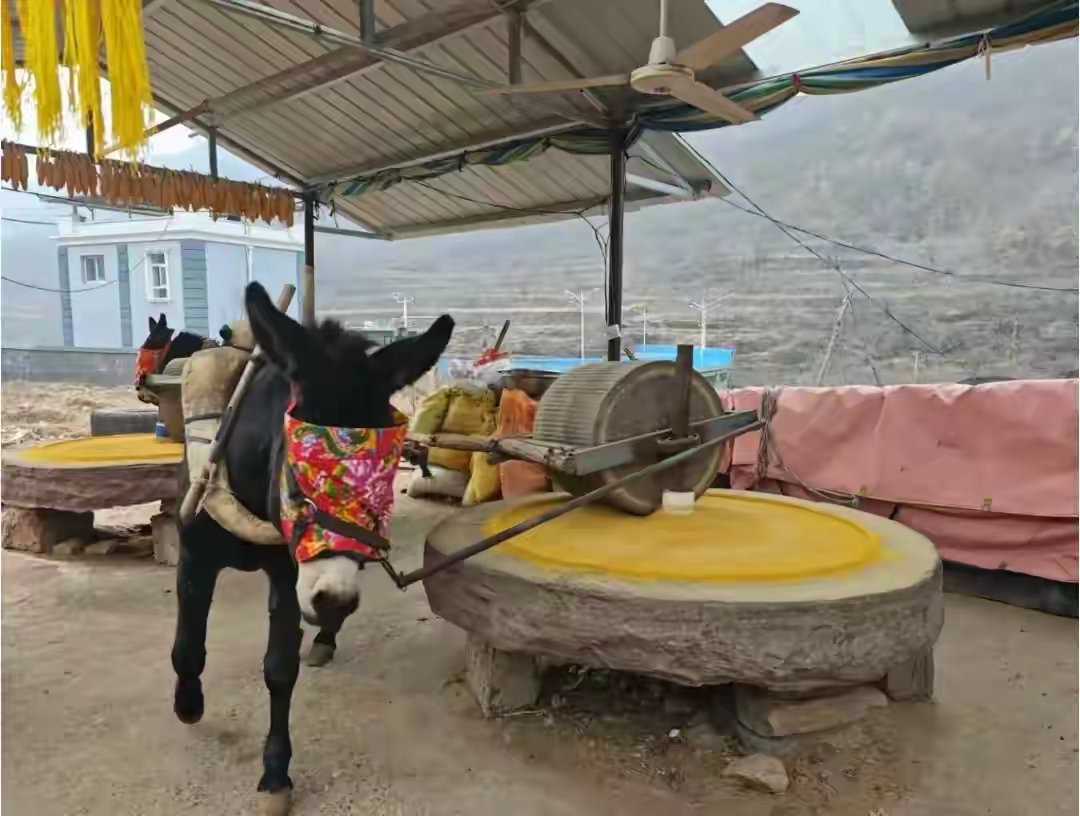 个人申请创业贷款窍门_农村电商_返乡创业