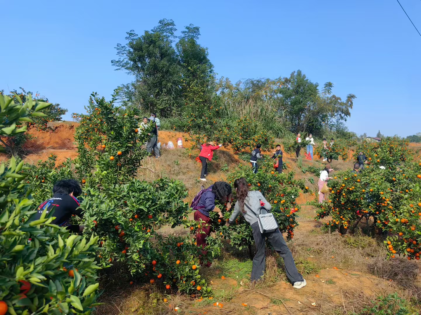 农村电商_返乡创业_个人申请创业贷款窍门