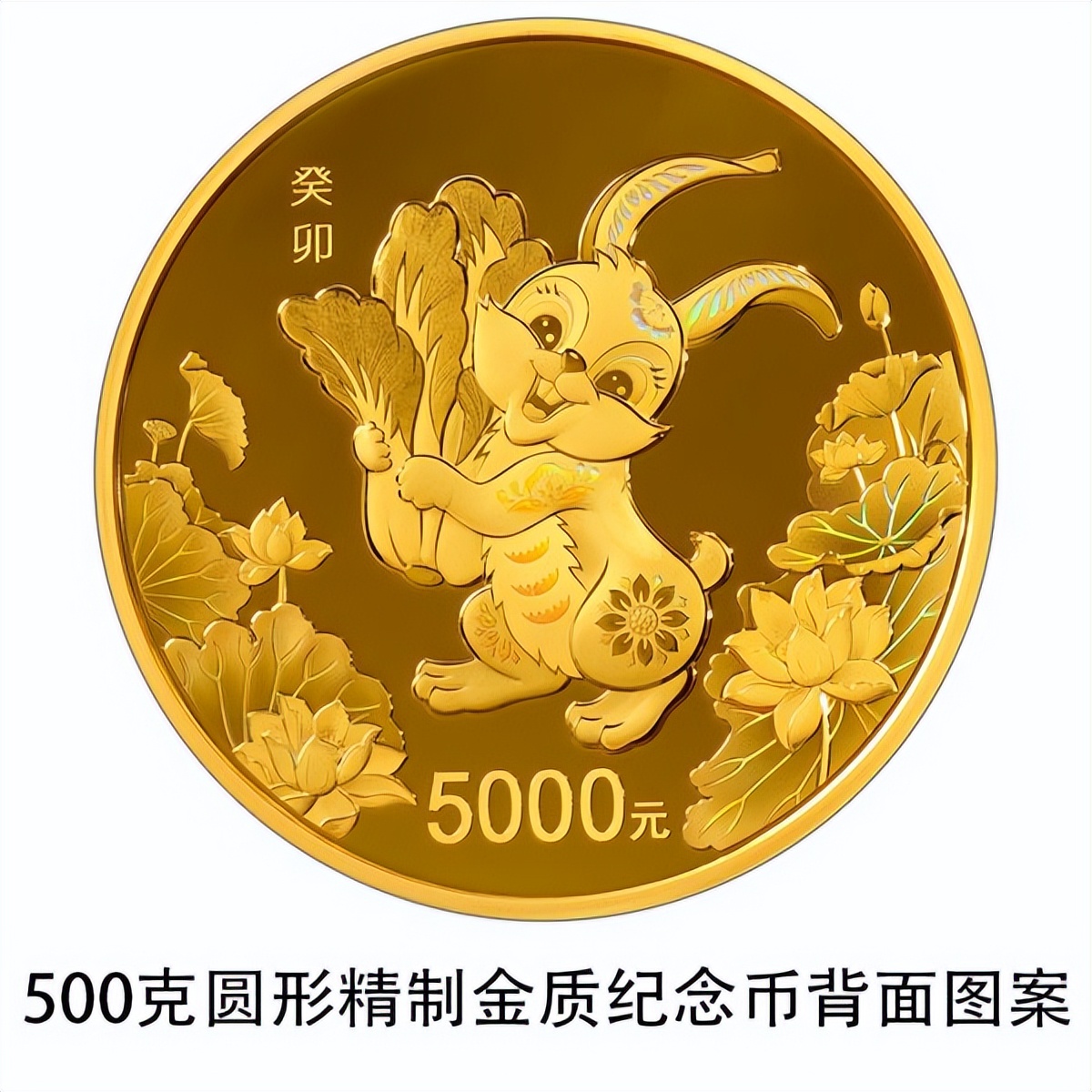 广州金银币交易市场在什么位置_2023中国癸卯兔年金银纪念币发行量_2023中国癸卯兔年金银纪念币图案