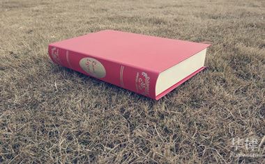 增值税3%征收率怎么算？附计算题示例