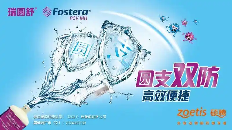 2026 猪价走势不佳，养猪亏损，能买保险护本吗？