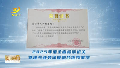 阳江市e站平台搭建_优化营商环境典型案例_优化营商环境法治服务监督e站