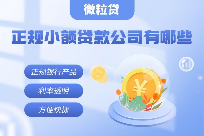 资金周转愁坏了？安全靠谱的小额贷款公司及微粒贷介绍来啦