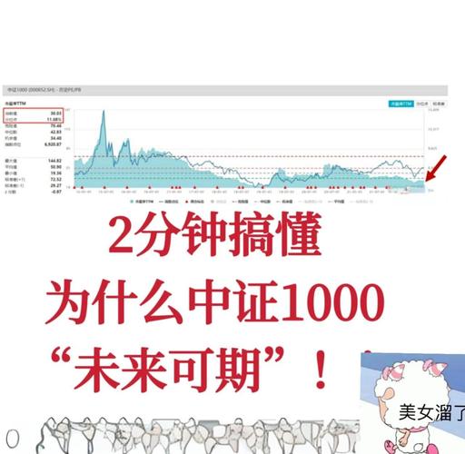中小市值公司成今年行情主力，中证1000和国证2000指数回调